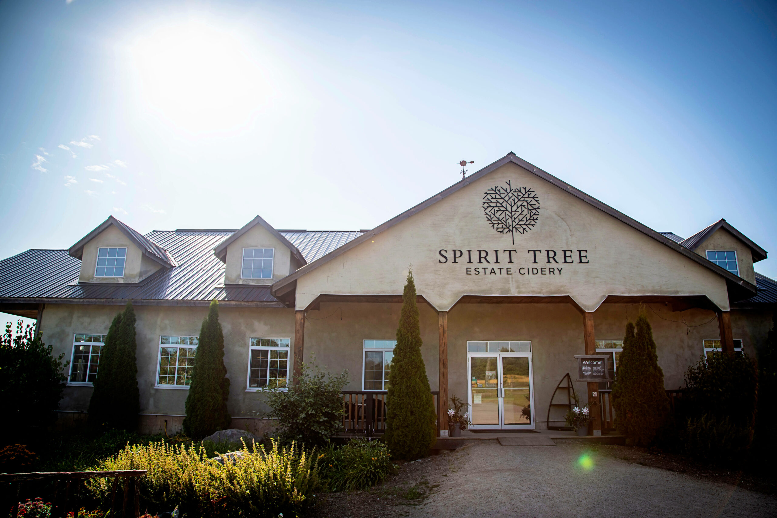 SpiritTreeAugust2019161