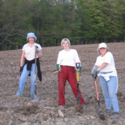 The ladies planting the orchard