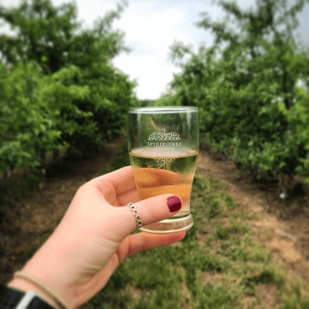 Cider Flight
