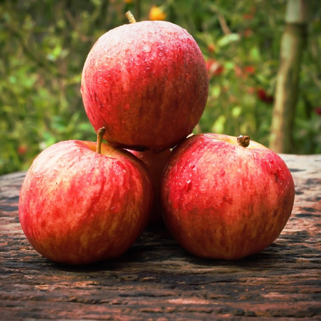 Sac à foin Imperial Riding Apple