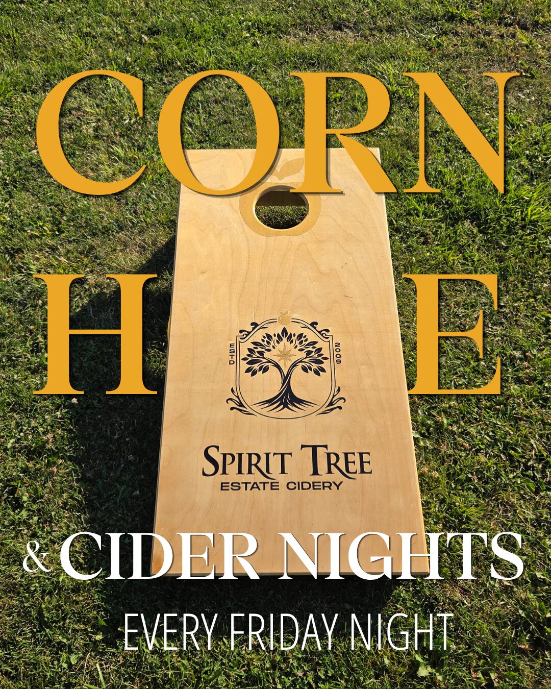 Corn Hole and Cider Nights