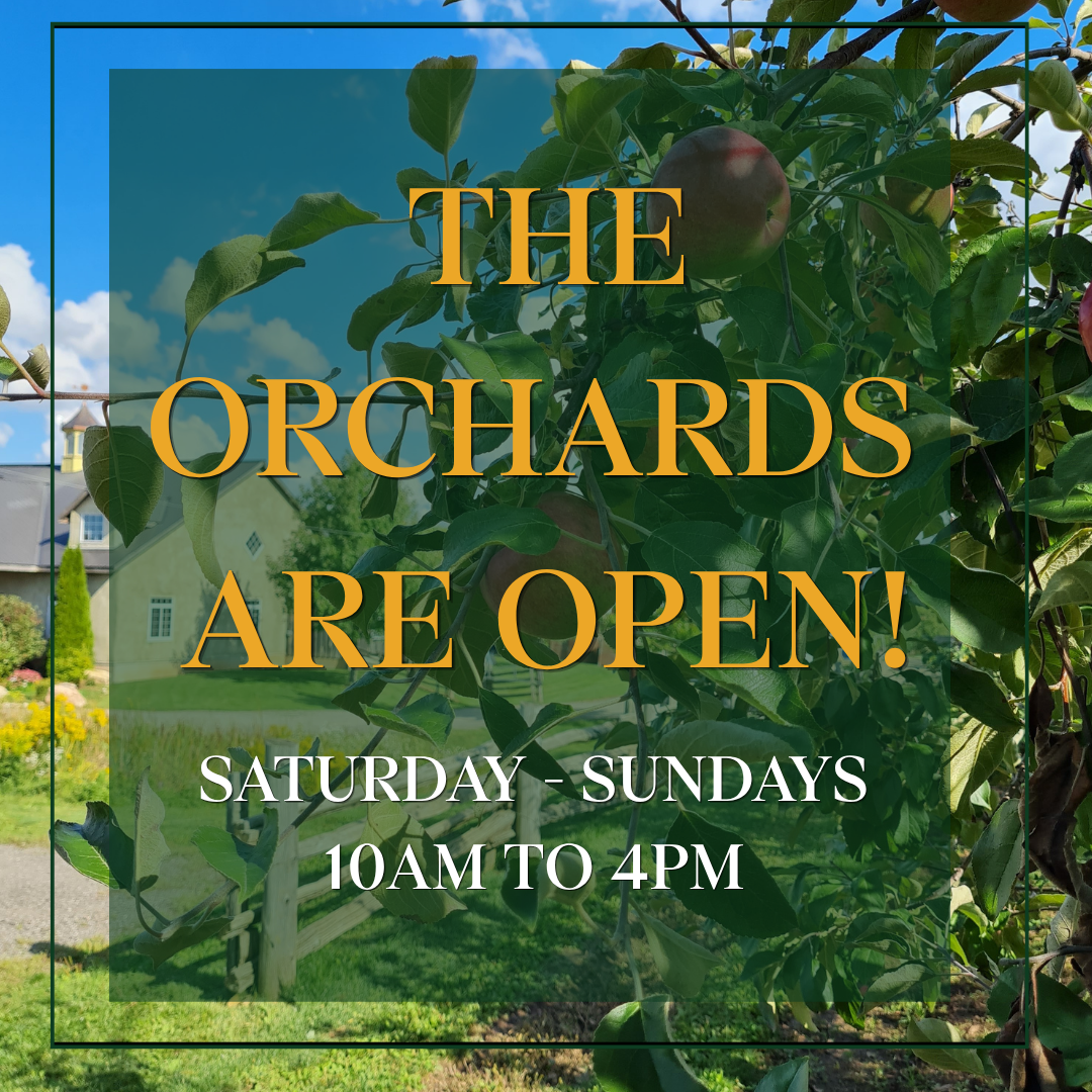 the orchards are open
