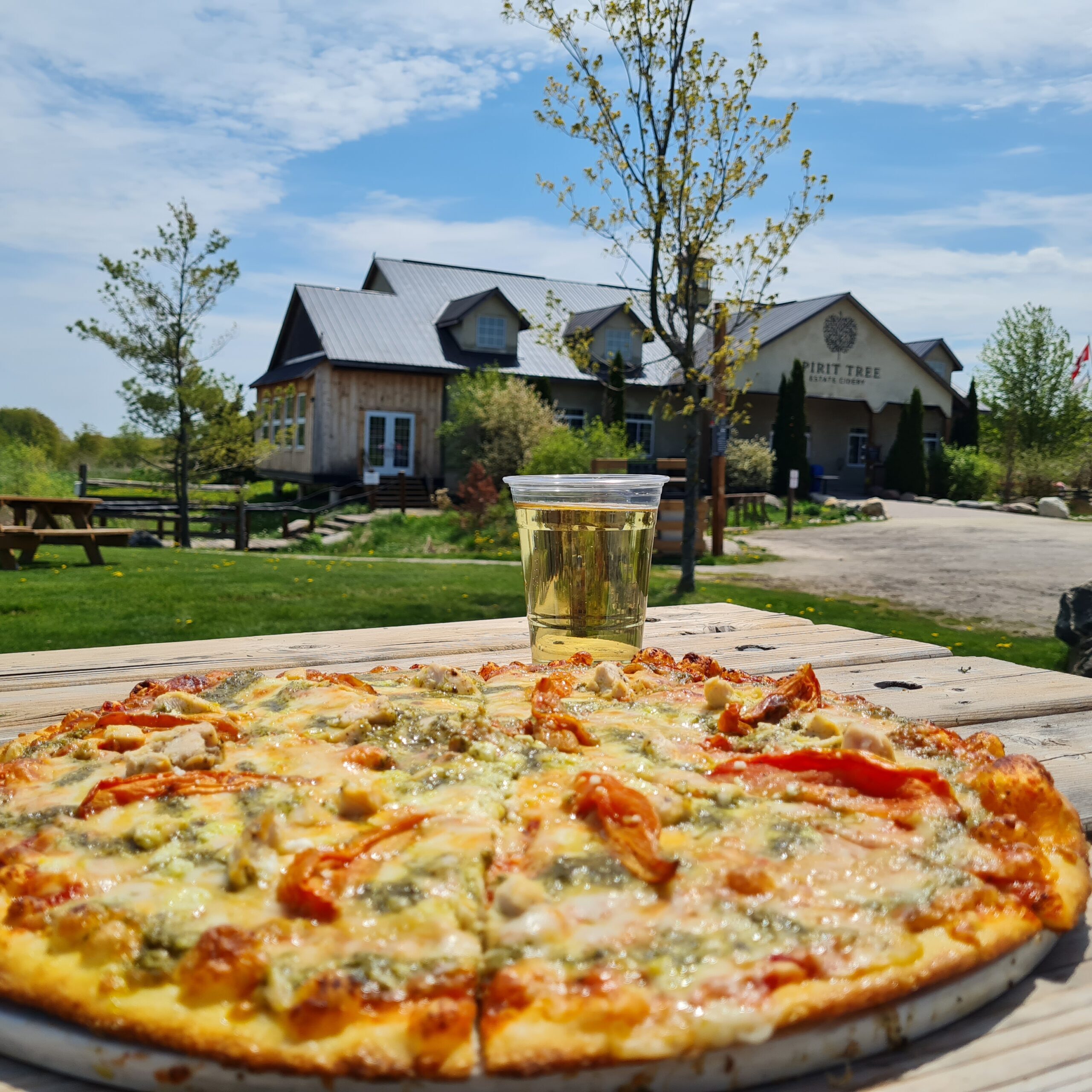 Pizza at the Spirit Tree Cider Gardens